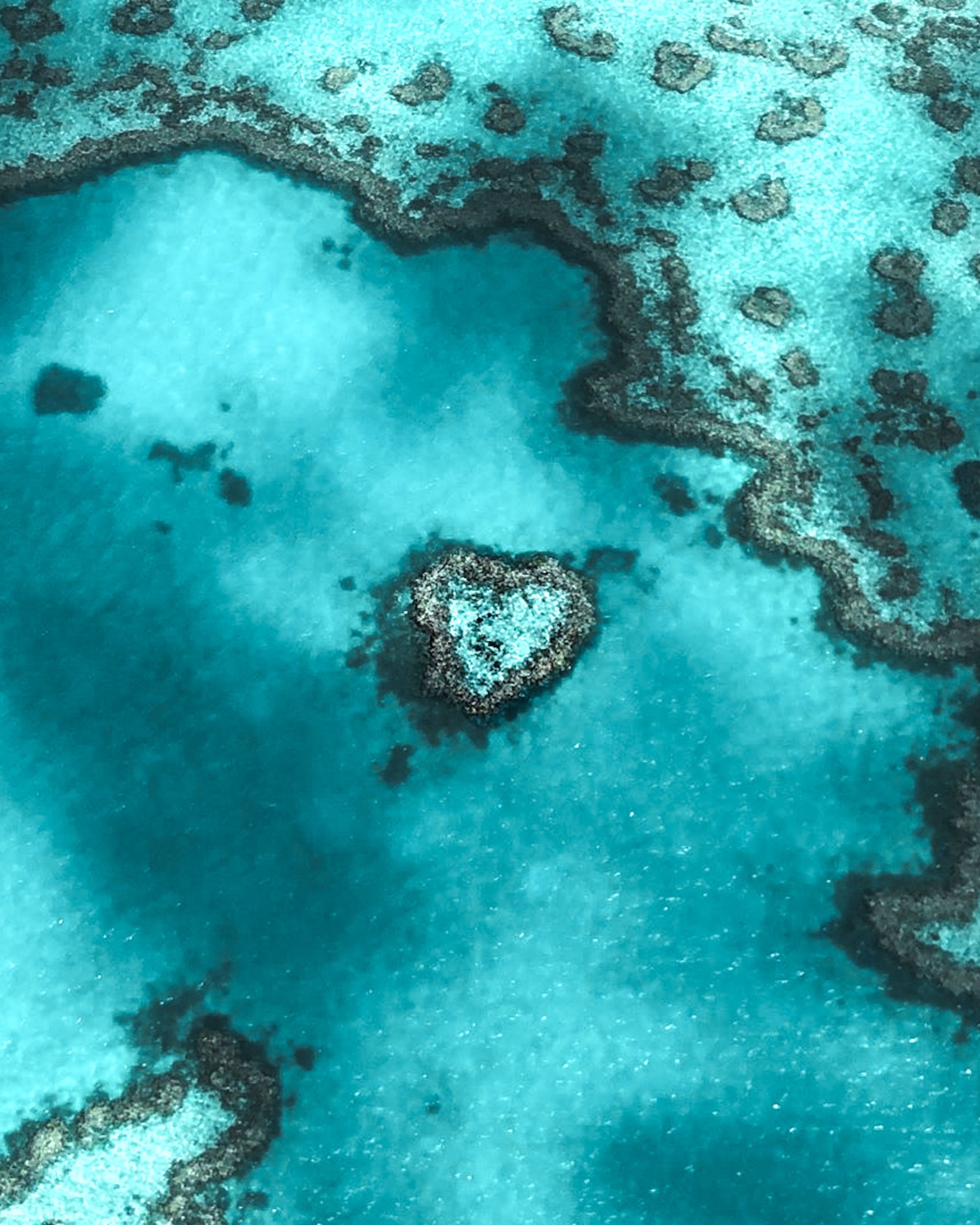 Heart Reef on the Great Barrier Reef seen from the air